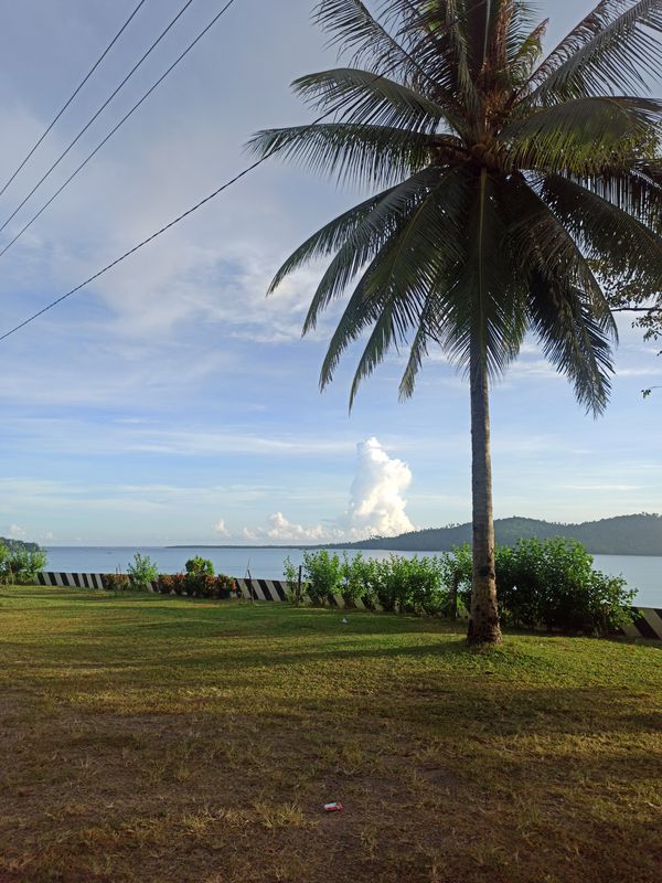 Lapak Street, Capalonga to Lapak Street, Capalonga