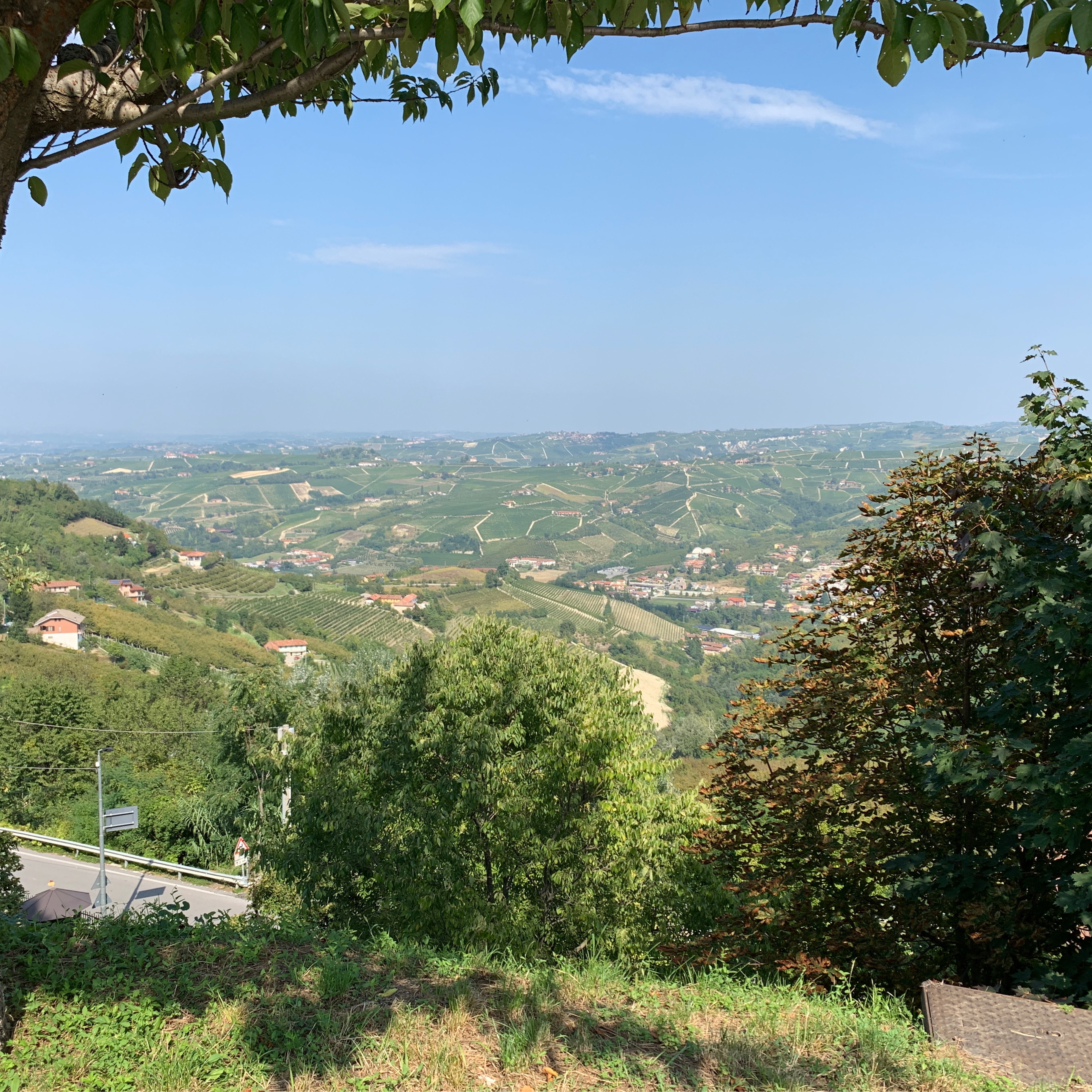 Serralunga Sinio DianoD'Alba SchlossCavour (26km, 560hm)