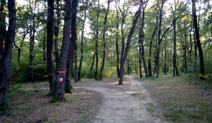 Foto 1 del percorso Bikemap "Traseul Emil Cioran"