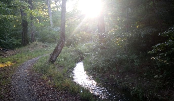 Foto 2 del percorso Bikemap "Traseul Emil Cioran"