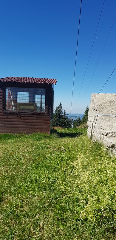 Unnamed Road to Unnamed Road, Izvoare
