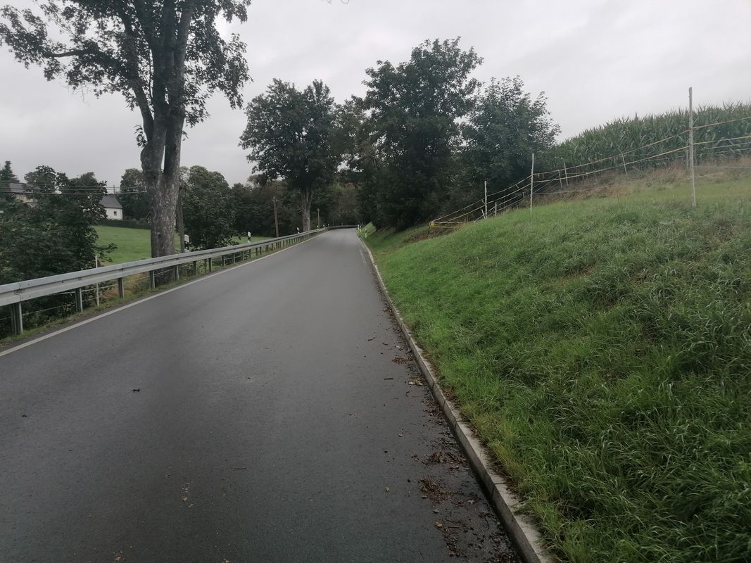 Alte Schleizer Straße nach K6609 53, Plauen