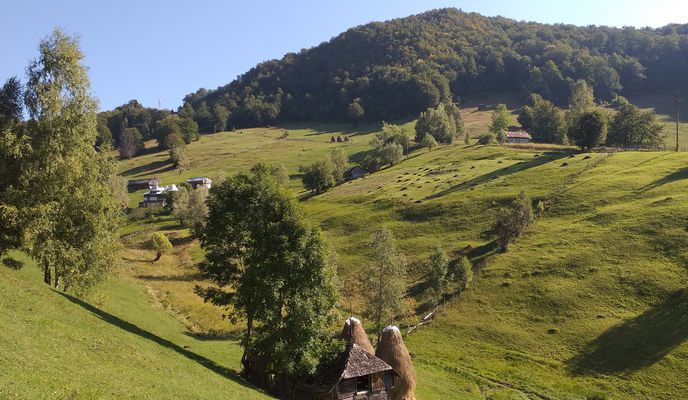 Foto 2 der Bikemap-Route "Piatra Craiului MTB Yellow 40 km Dambovicioara - Ciocanu - Sirnea - Fundata - Cheile Gradistei - V. Cheii - Dambovicioara (ADE 91)"