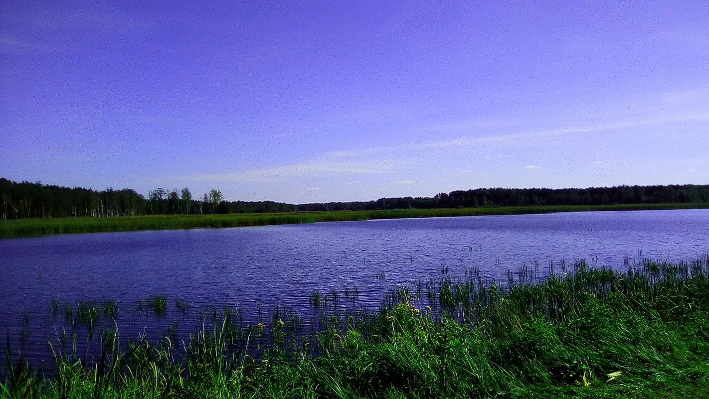 Staw Piłka