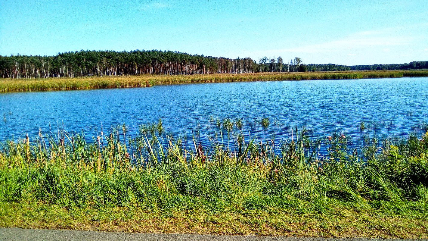 Staw Piłka
