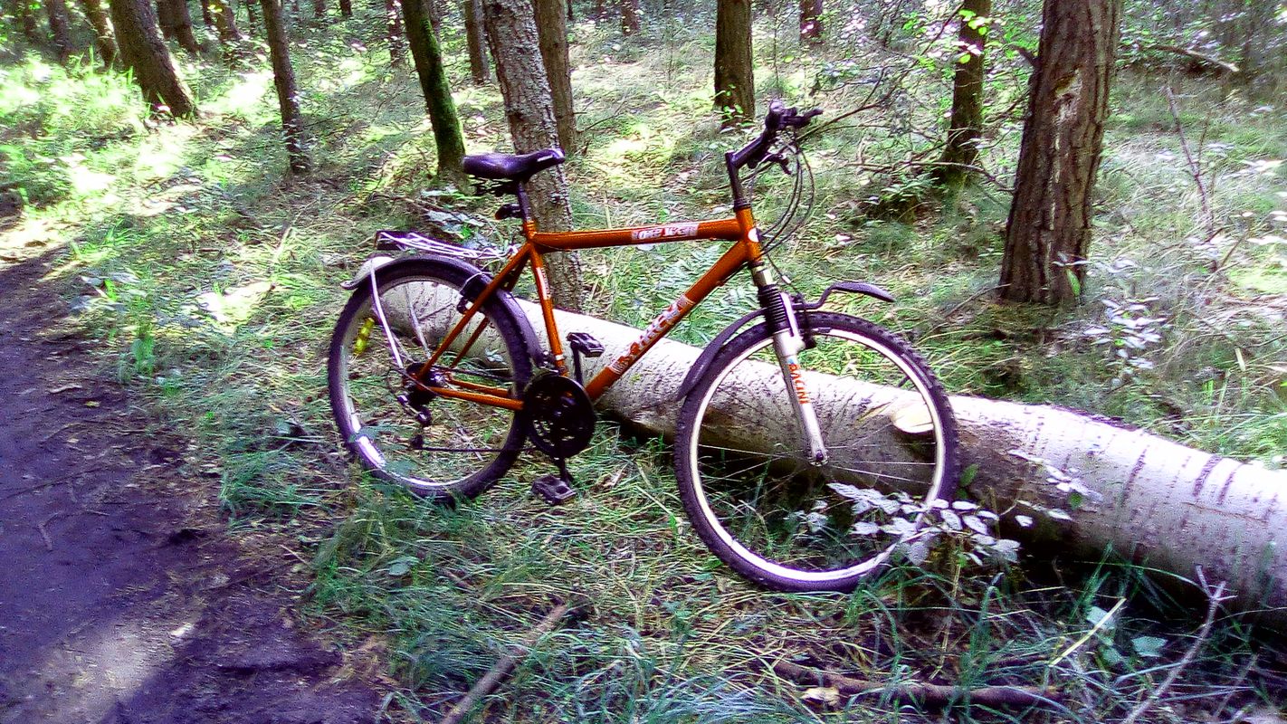 Staw Piłka