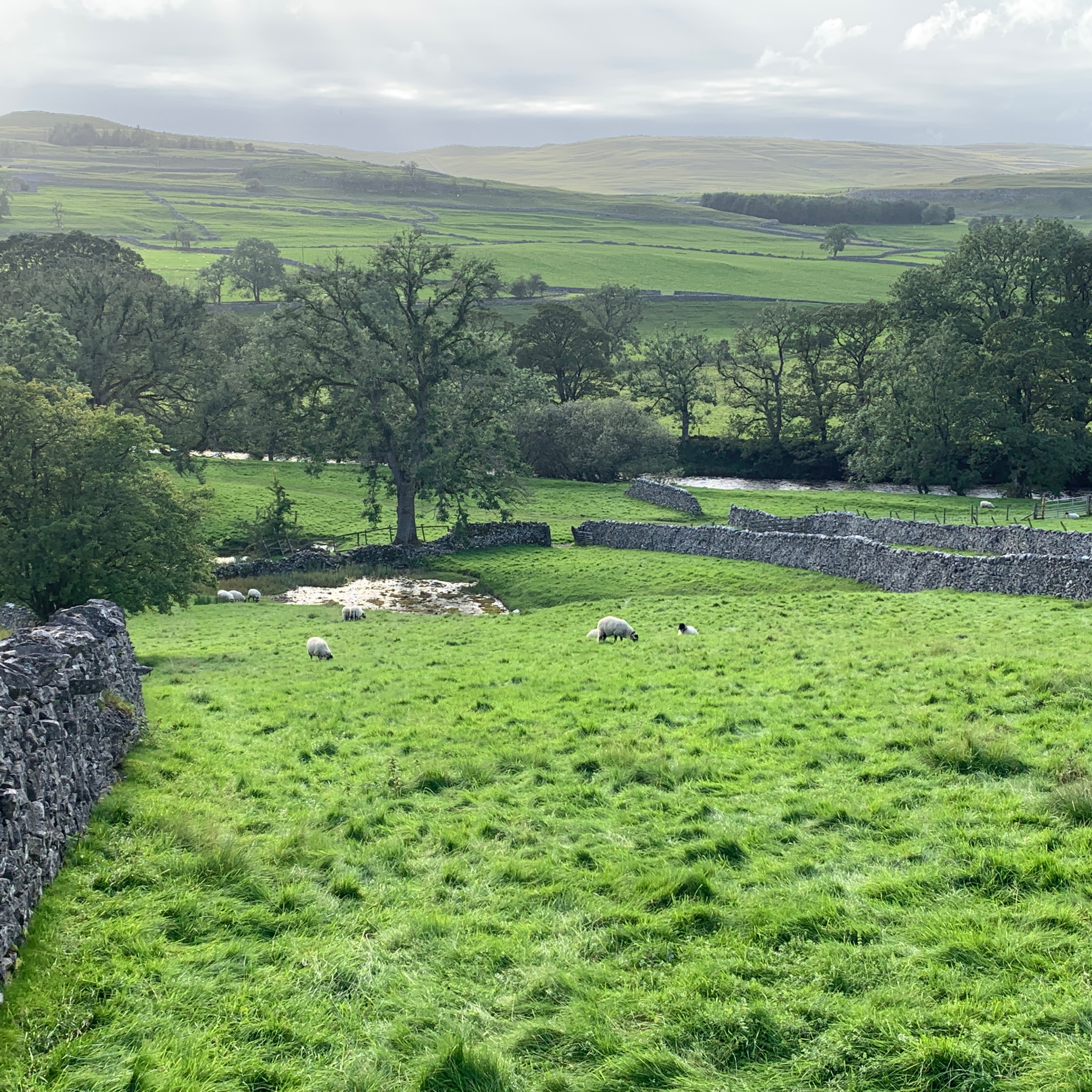J-54: via Skipton to Kelwell YH