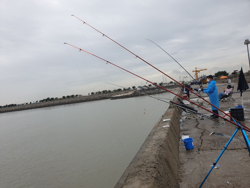 Paltan-myeon 473-3, Hwaseong-si to Paltan-myeon 산55-13, Hwaseong-si