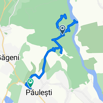 Traseul către DJ102, Păuleşti