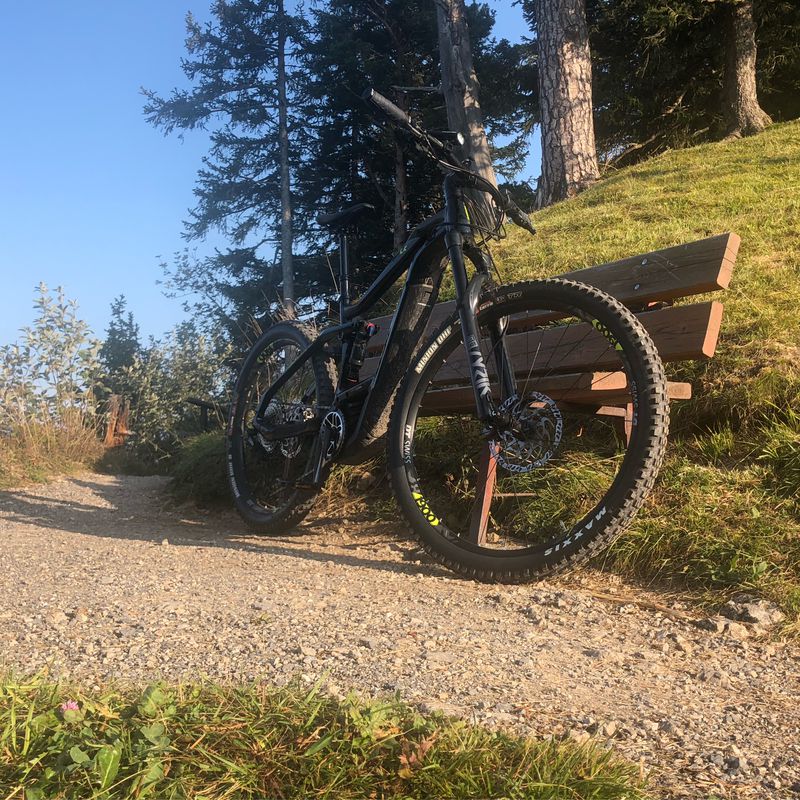 Biken am Morgen 🚵🏼‍♂️☀️