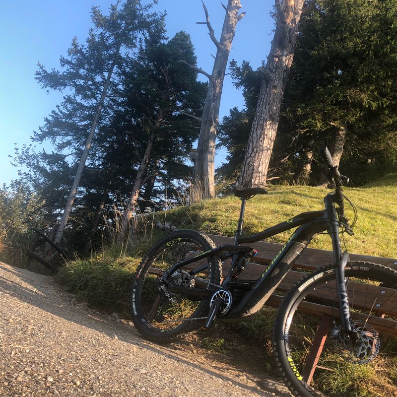Biken am Morgen 🚵🏼‍♂️☀️