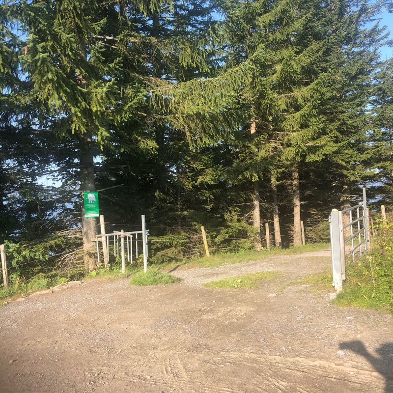 Biken am Morgen 🚵🏼‍♂️☀️