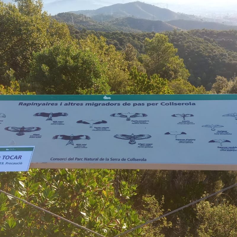 Ruta por Barberà Sant Cugat Barcelona Montcada Barberà #39Km