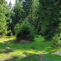 Foto 7 del percorso Bikemap "Dămuc & Huisurez" Foto 7 del percorso Bikemap "Dămuc & Huisurez"