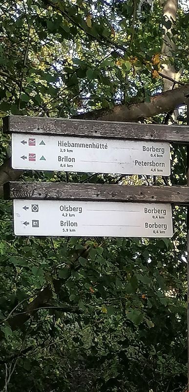 An der Eiche über Borberg zur Hiebämmer Hütte und über Petersborn zurück