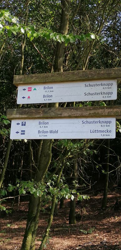 An der Eiche über Borberg zur Hiebämmer Hütte und über Petersborn zurück