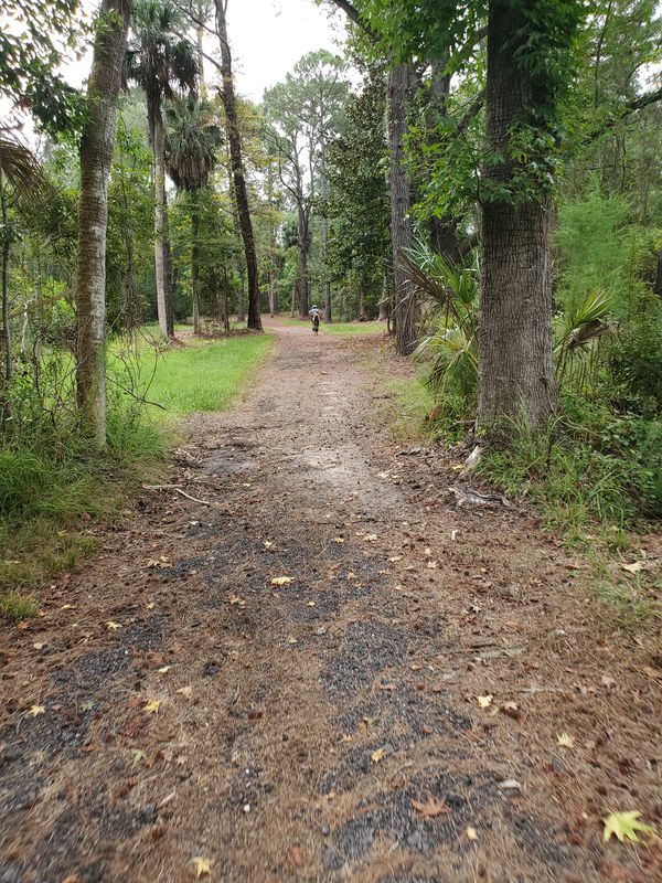 Deallyon Avenue 22, Hilton Head Island nach Deallyon Avenue 22, Hilton Head Island