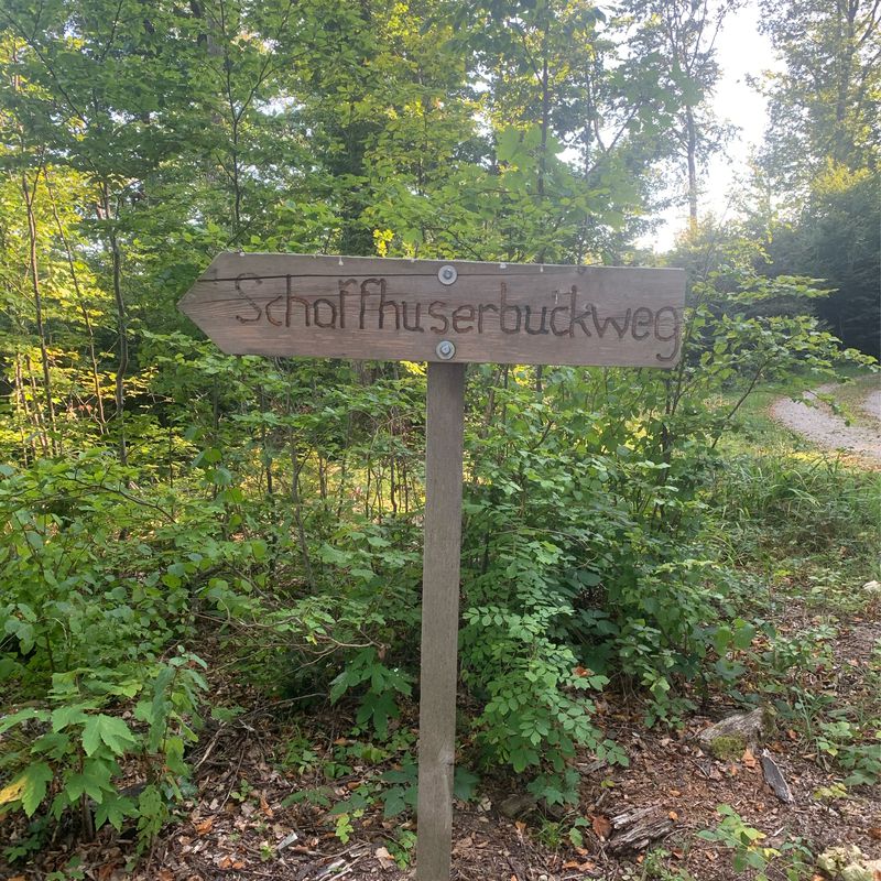 Riedhaldenbuckstrasse 1, Freienstein-Teufen nach Irchelstrasse, Freienstein-Teufen