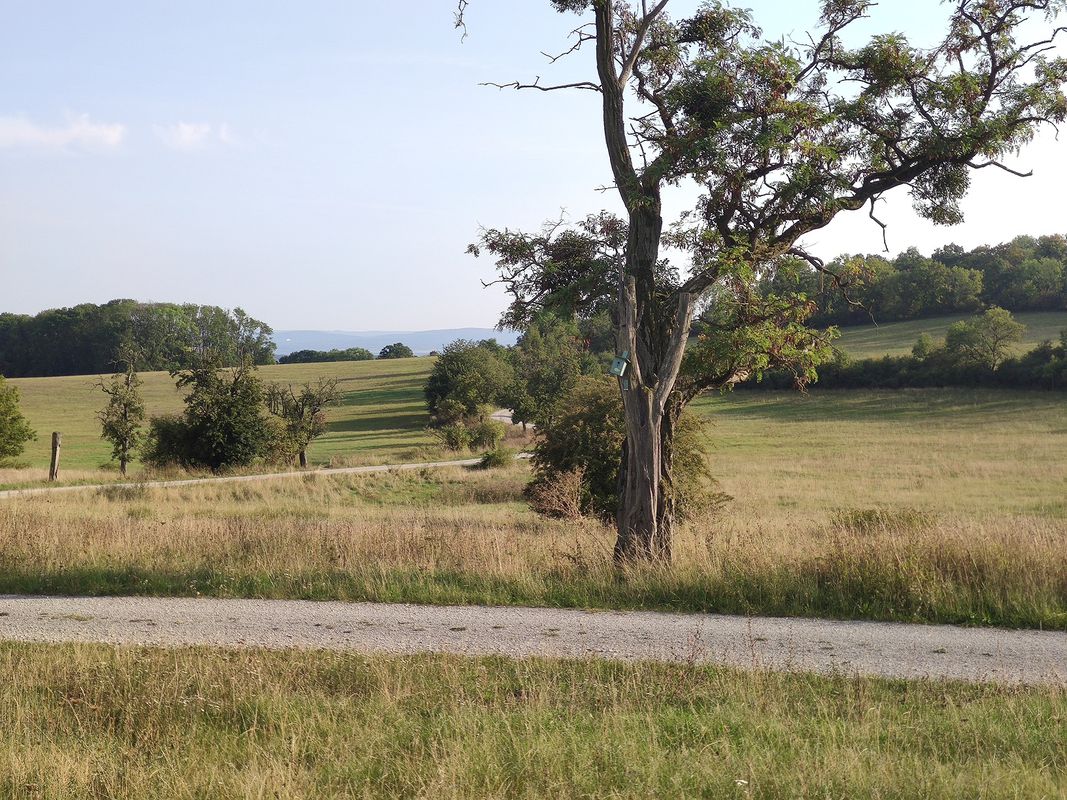 To Hesswinkel