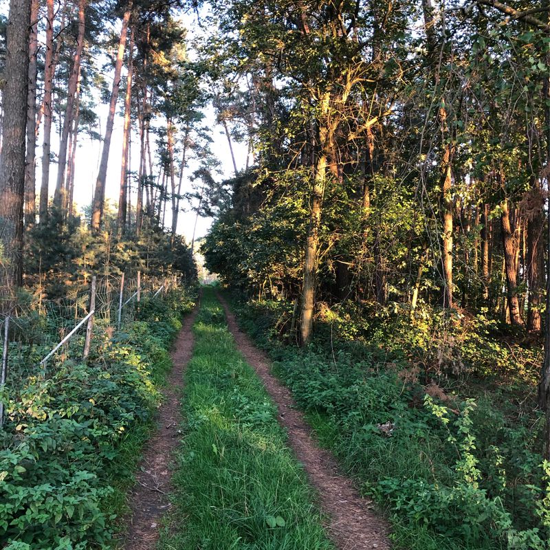 Neukatterbach 4, Neuhof an der Zenn nach Neukatterbach 4, Neuhof an der Zenn