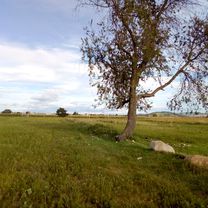 Xonacatepec pista 2