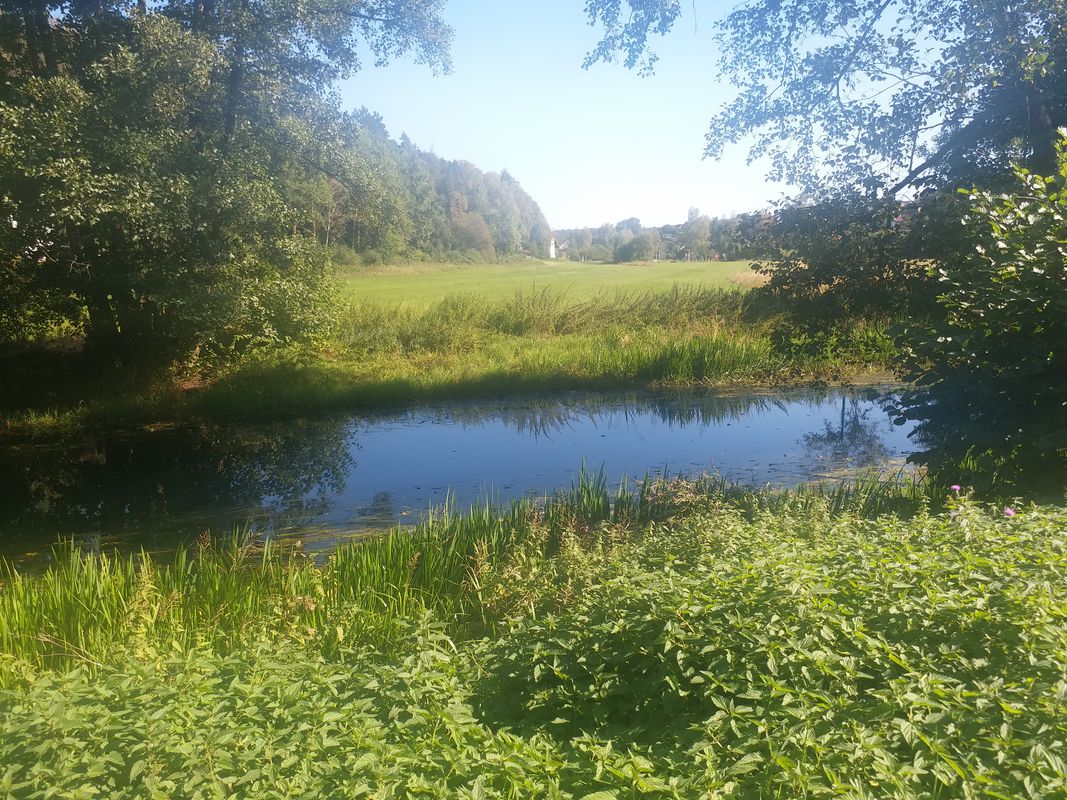 Parsberg Rundtour via Velburg