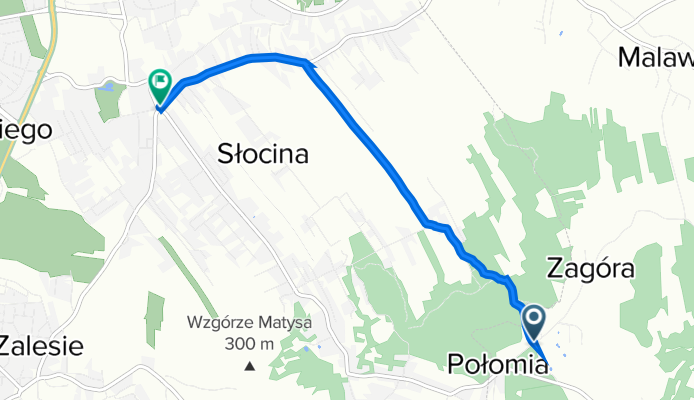 Początek przez las (Zagóra)