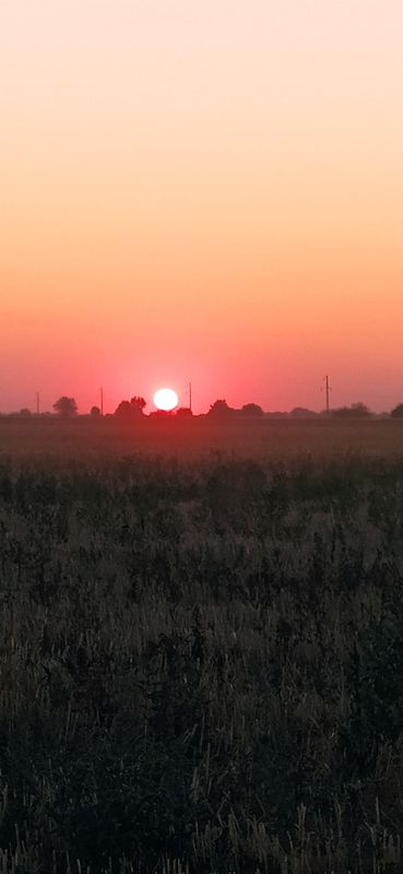 От вулиця Степова до вулиця Спортивна 4, Зеленодо́льська міська́ ра́да