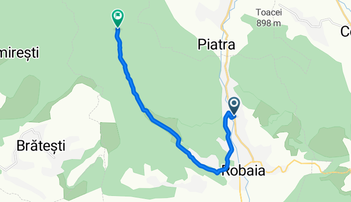 22 Musatesti ( Rotaresti) - Mânăstirea Robaia