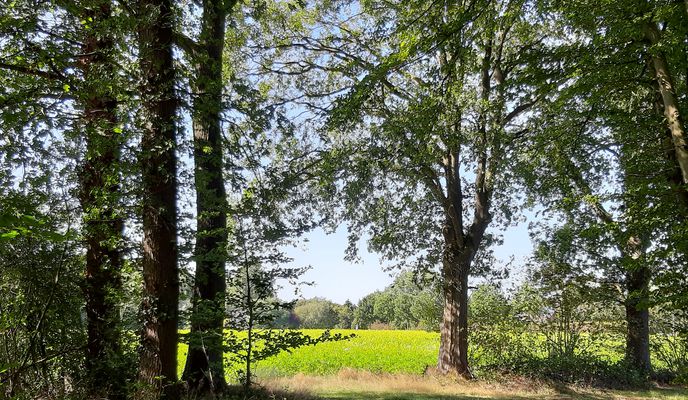 Foto 2 del percorso Bikemap "MTB Runde Richtung Telgte"