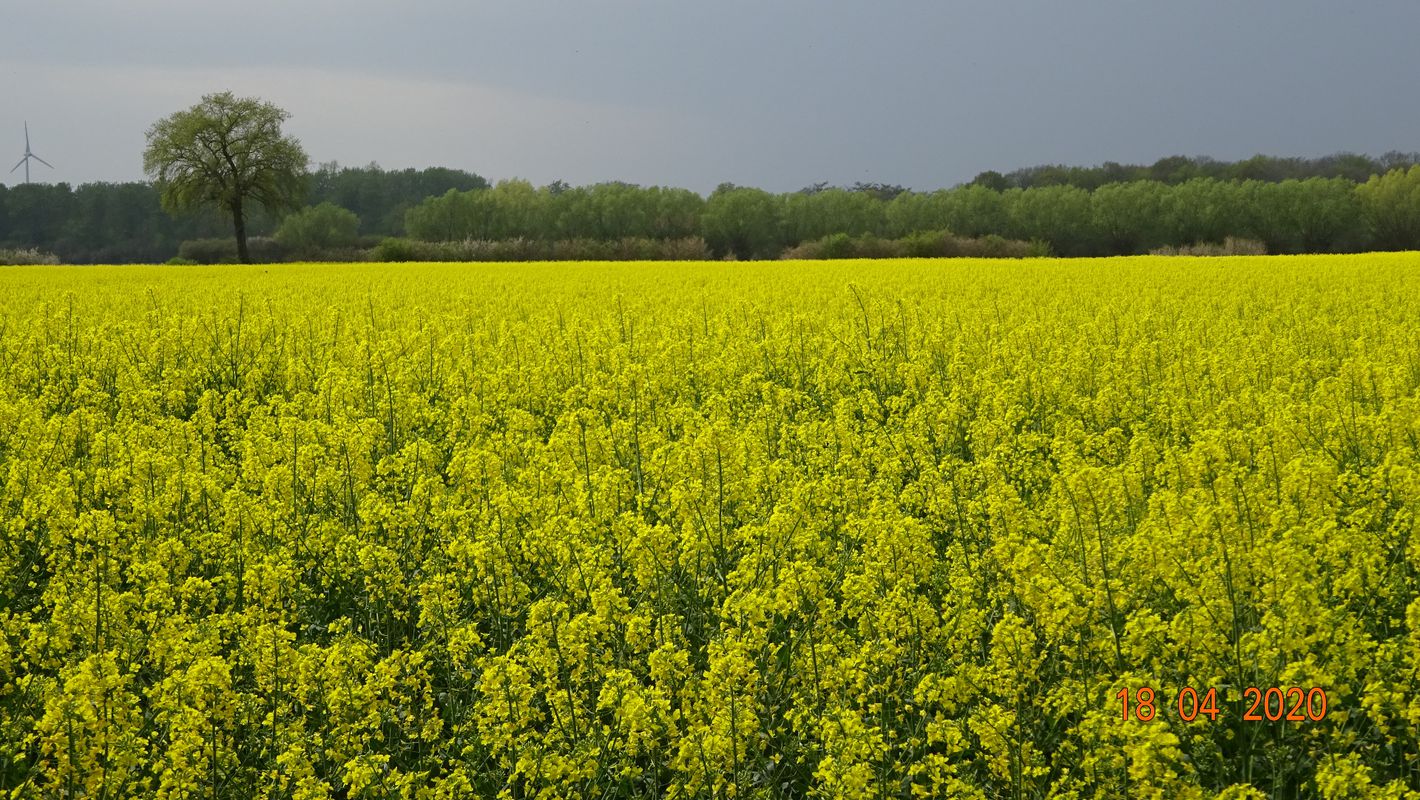 Lüdingh., Sendenhorst, Ottmarsb. 105km