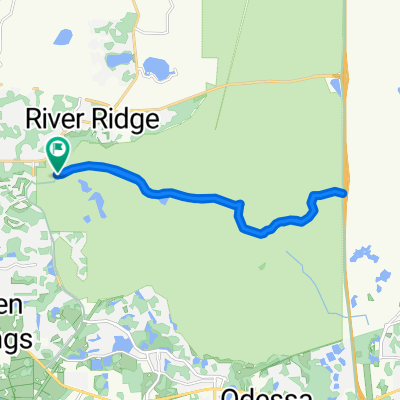 Wilderness Park Blvd, New Port Richey to 3543 Starkey Blvd, New Port Richey