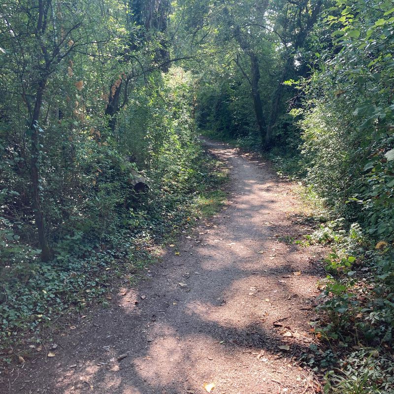 Dahlienweg 5, Arch nach Dahlienweg 5, Arch