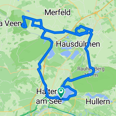 Haltern am See - Wildpferde - Wildpark - Haltern am See