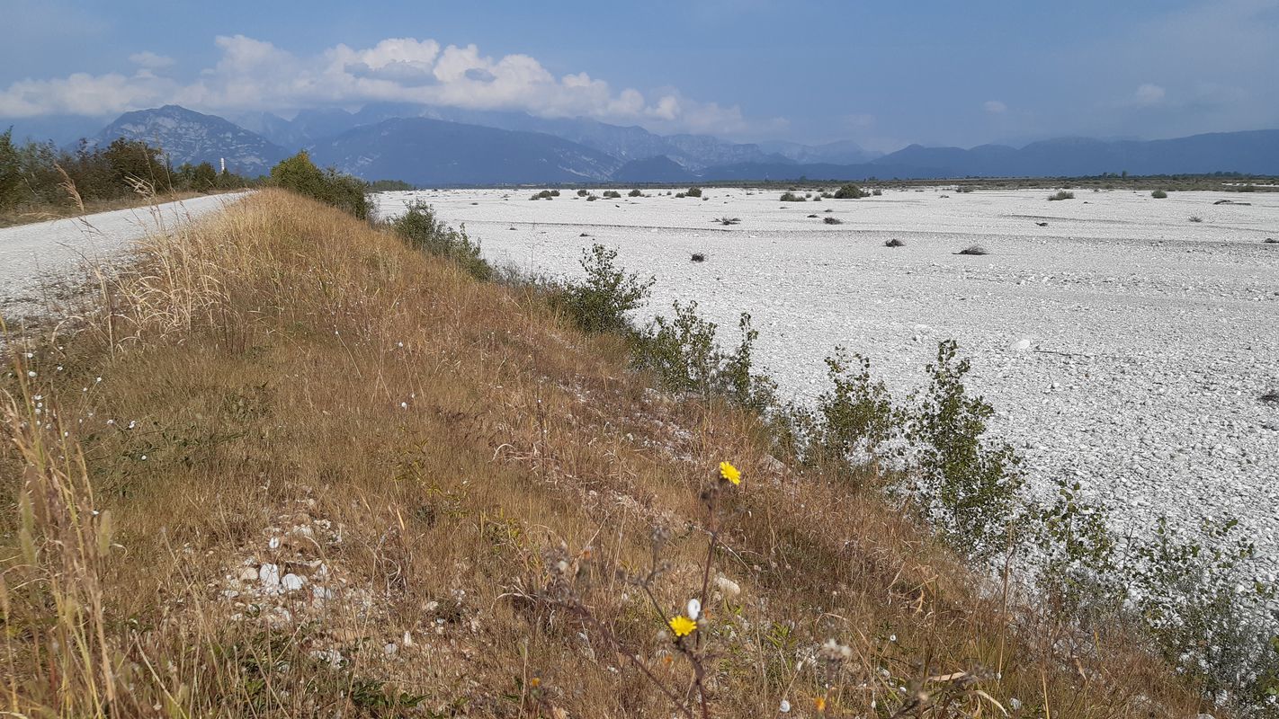 pedemontana e magredi.