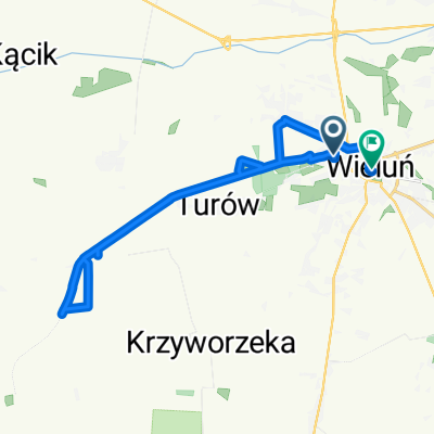 Młodzieżowa 5, Wieluń do Henryka Sienkiewicza 1, Wieluń
