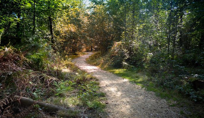 Photo 1 of the Bikemap route "GLA Schloss Wittringen - Bottrop"