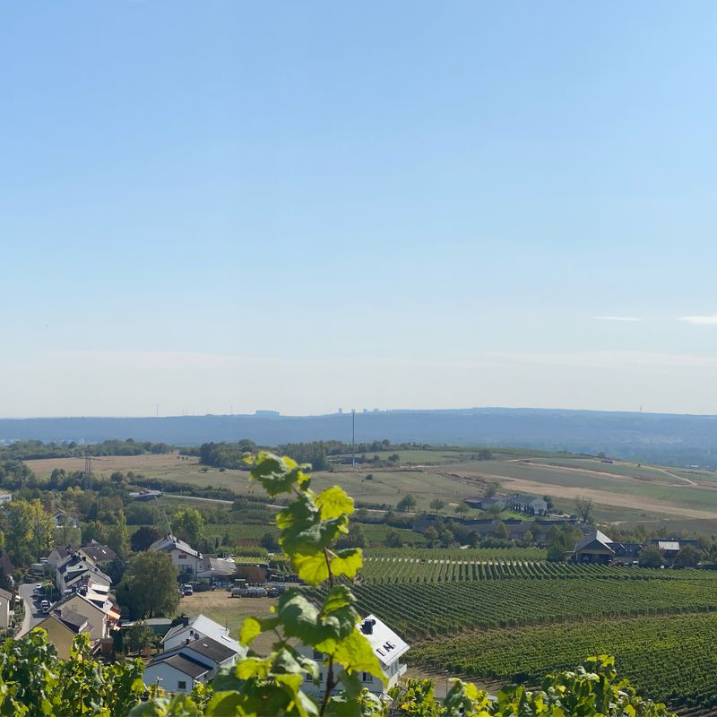 Bühlerhöhe 11, Waldböckelheim nach Bühlerhöhe 14, Waldböckelheim