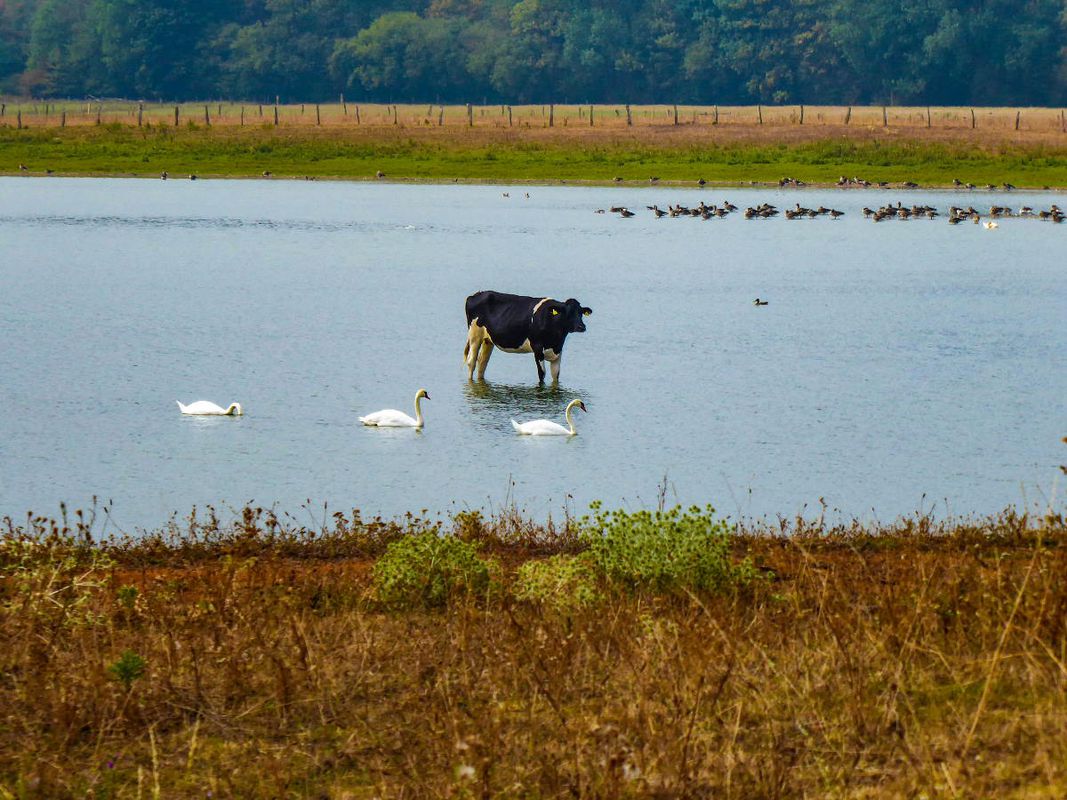 3 Tage Tour Weeze-Xanten-Hünxe Tag 3 54 km