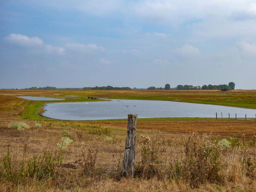 3 Tage Tour Weeze-Xanten-Hünxe Tag 3 54 km