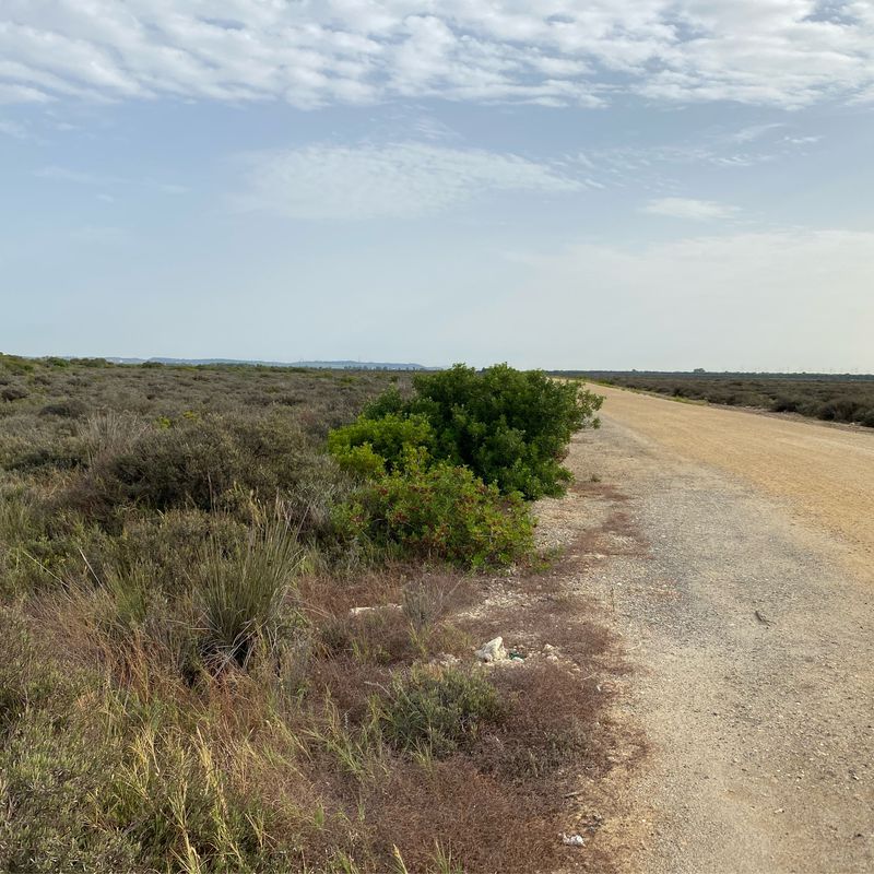Fuentebermeja-Los Toruños