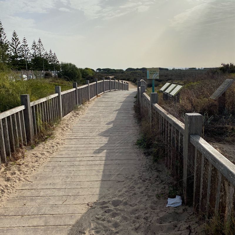 Fuentebermeja-Los Toruños