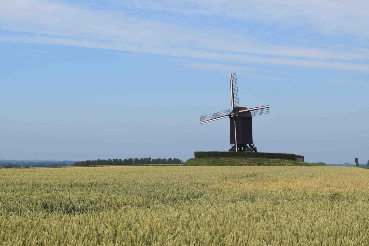 2020_Mere_Wannegem-Lede_Mere