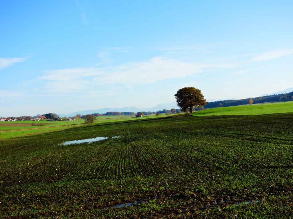 Strassenrunde -Grafing-Beyharting-Grafing