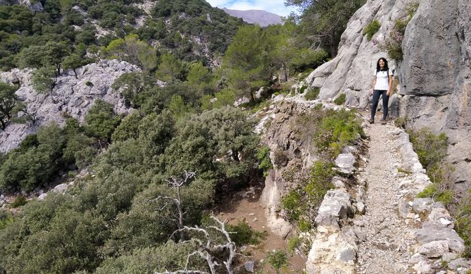 Photo 1 of the Bikemap route "Mallorca a peu: canaleta de Massanella des de les cases de Massanella"