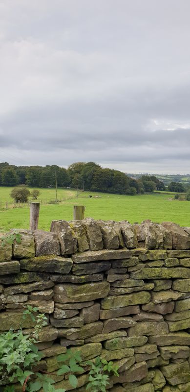 Bradford Pudsey Tong route