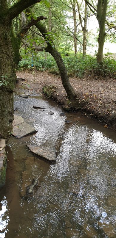 Bradford Pudsey Tong route