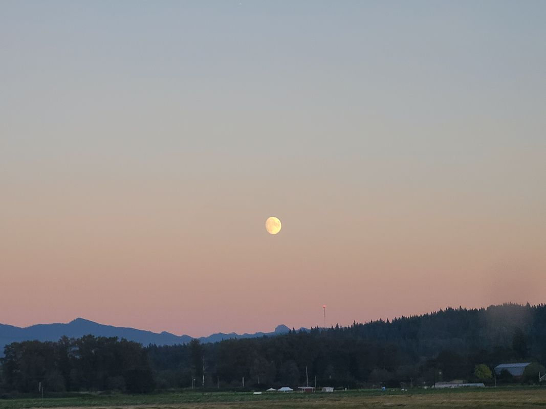 Bellingham to Snohomish: scenic route