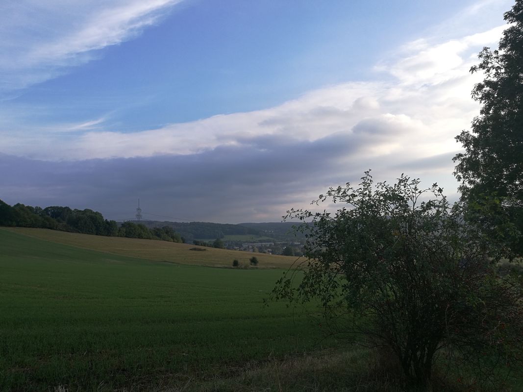 Kirschau - Rundfahrt über Neukirch, Diehmen