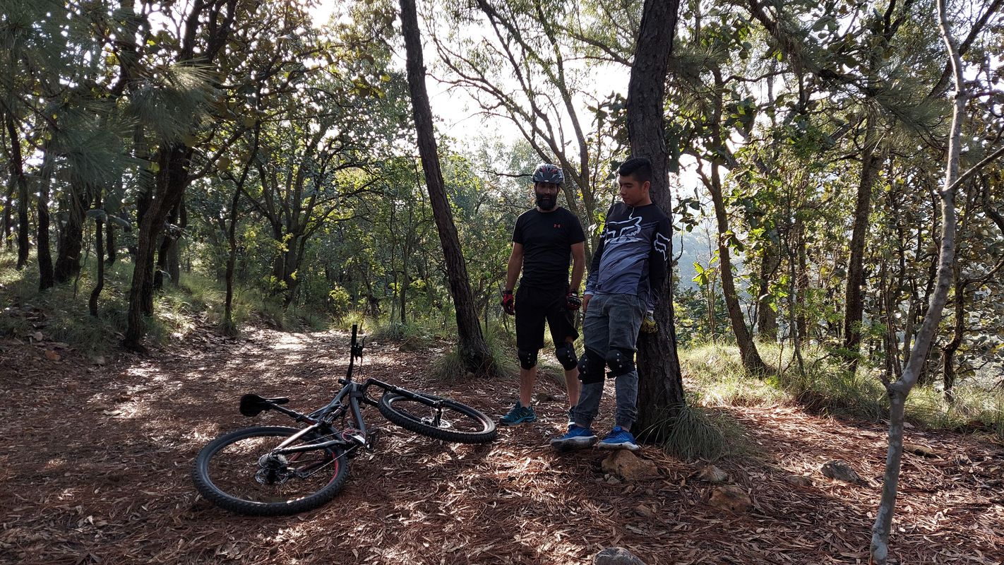 árbol y torre 1 corto